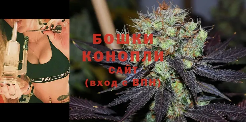 где можно купить   Выкса  Конопля OG Kush 